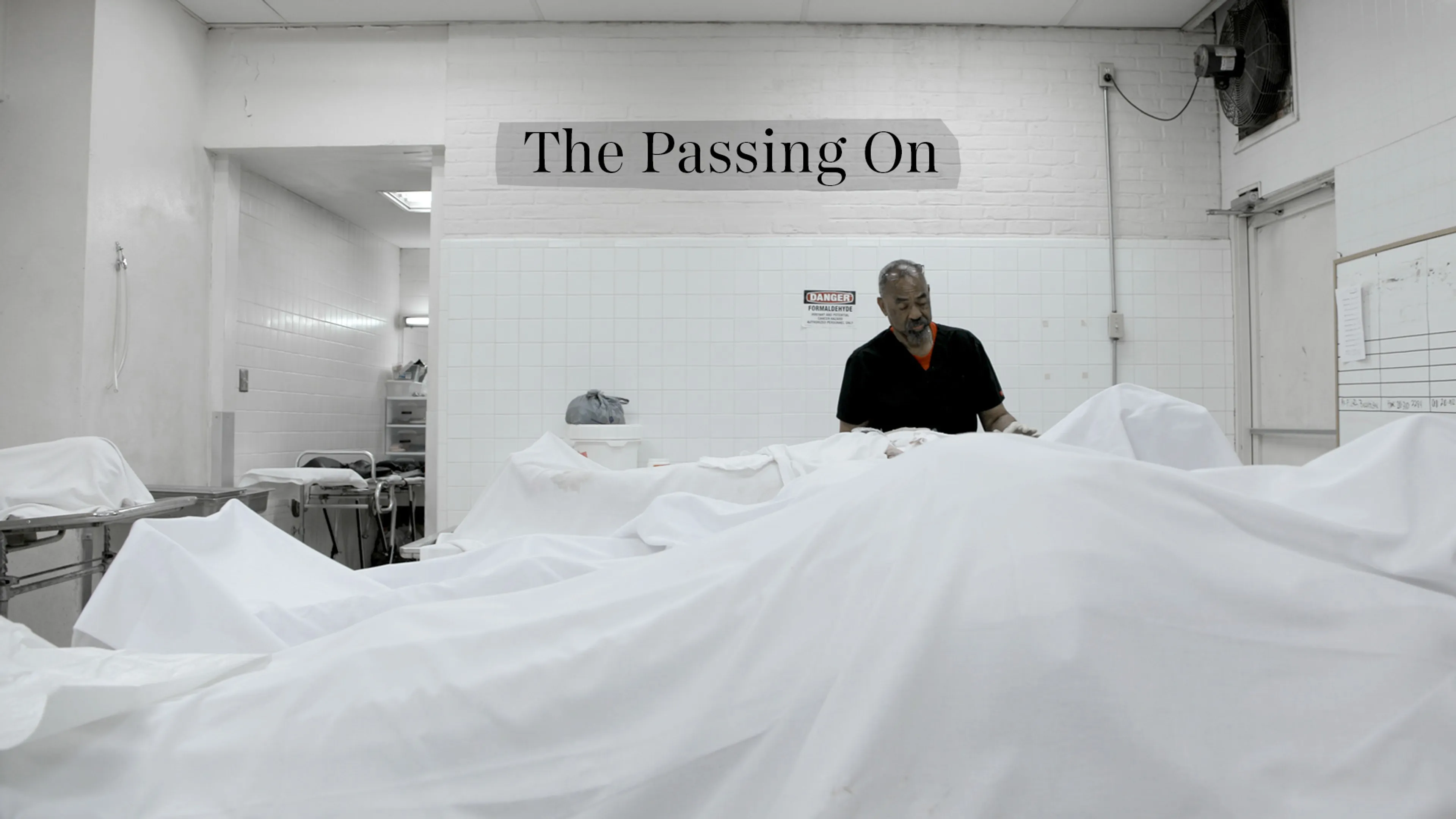 The Passing On poster